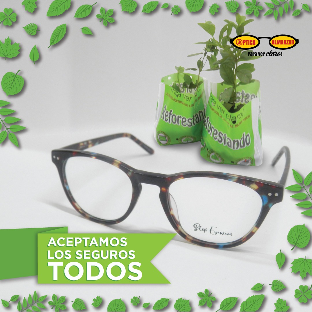 Óptica-montura
