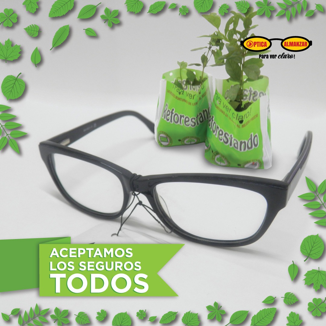 Óptica-montura
